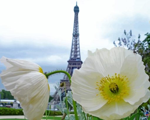 Paris White Poppy paint by numbers