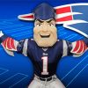 Patriot New England Mascot paint by numbers