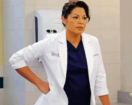 Sara Ramirez Grey's Anatomy paint by numbers