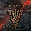 The Elder Scrolls Morrowind paint by numbers