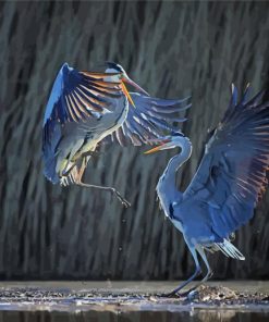 Two Adorable Heron Birds paint by numbers