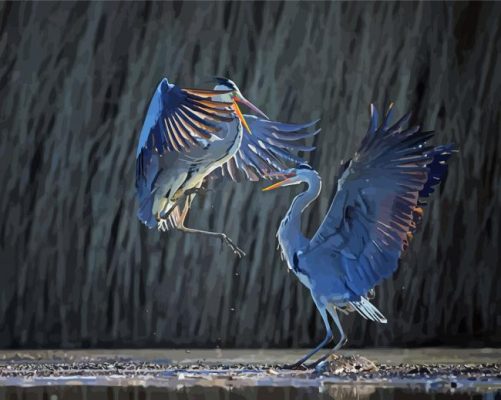 Two Adorable Heron Birds paint by numbers