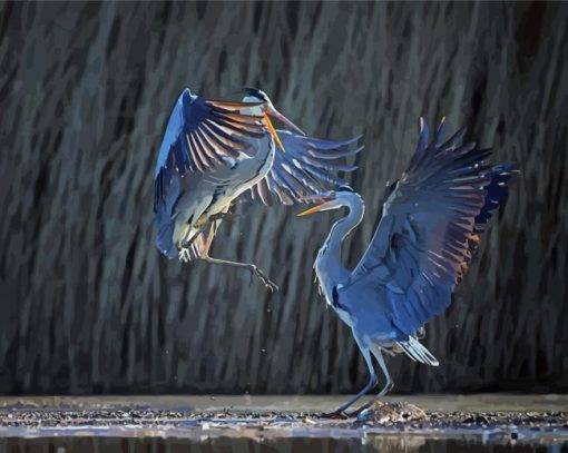 Two Adorable Heron Birds paint by numbers