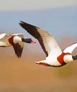 Two Ducks In Flight Paint By Numbers