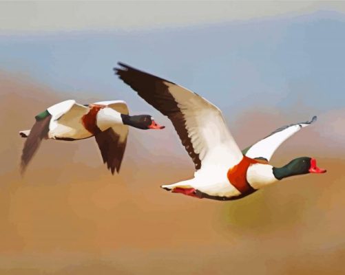 Two Ducks In Flight Paint By Numbers