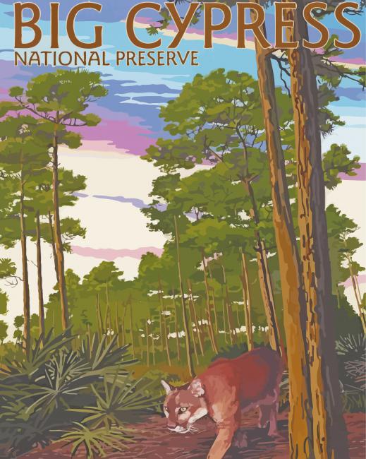 Big Cypress National Preserve Poster Paint By Numbers