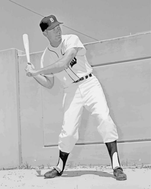 Black And White Al Kaline Paint By Numbers