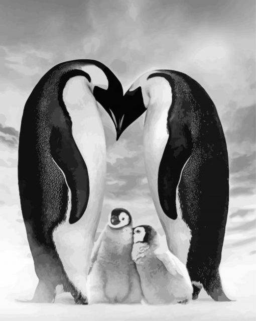 Black And White Penguins Paint By Numbers