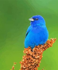 Blue Indigo Bunting Paint By Numbers