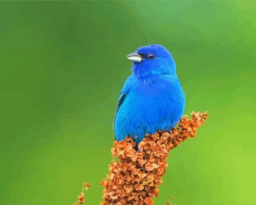 Blue Indigo Bunting Paint By Numbers