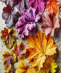 Colorful Plant Leaves Paint By Numbers