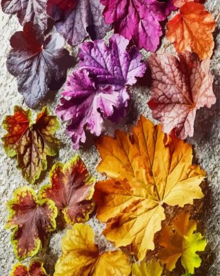 Colorful Plant Leaves Paint By Numbers