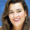 Cote De Pablo American Actress Paint By Numbers