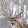 Deer In Snow Animal Paint By Numbers