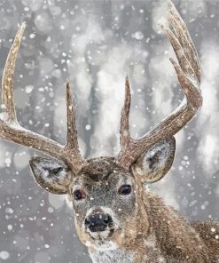 Deer In Snow Animal Paint By Numbers