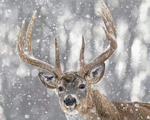 Deer In Snow Animal Paint By Numbers