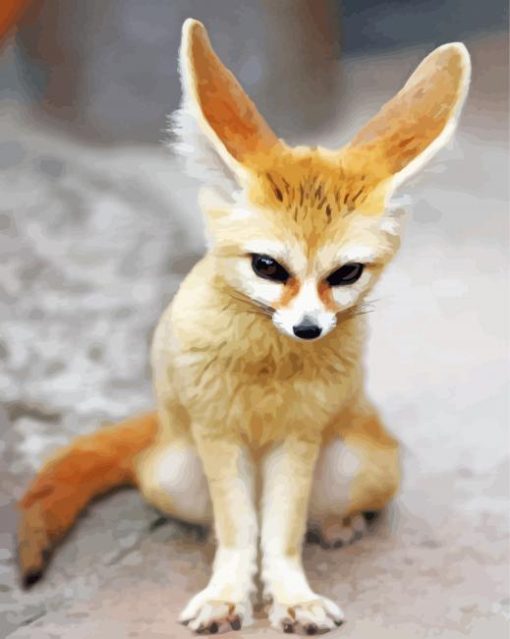 Fennec Fox Animal Paint By Numbers