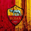Football Club Roma Emblem Art Paint By Numbers