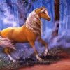 Golden Mare Horse Animal Paint By Numbers