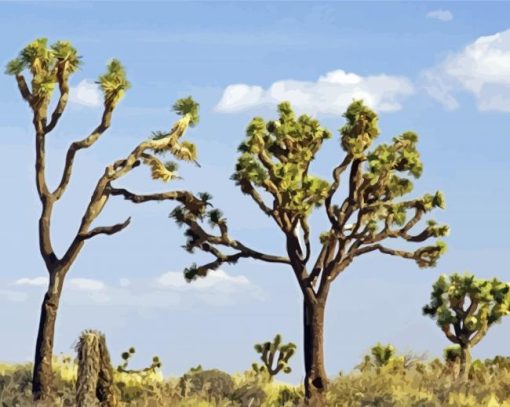 Joshua Tree National Park Paint By Numbers