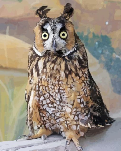 Long Eared Owl paint by numbers