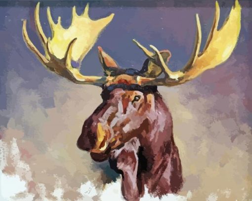 Moose Head Art Paint By Numbers
