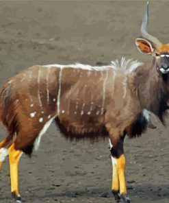 Nyala Animal Paint By Numbers