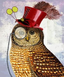 Owl Bird With Hat Paint By Numbers
