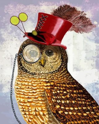 Owl Bird With Hat Paint By Numbers