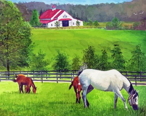 Ranch And Horses Art Paint By Numbers