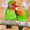Rosy Faced Lovebird On Branch Paint By Numbers