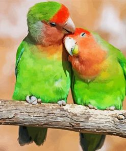 Rosy Faced Lovebird On Branch Paint By Numbers