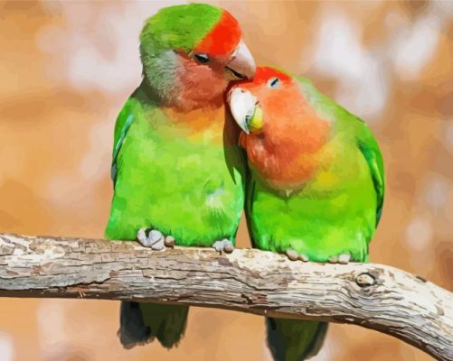 Rosy Faced Lovebird On Branch Paint By Numbers