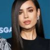 Sofia Carson American Actress Paint By Numbers