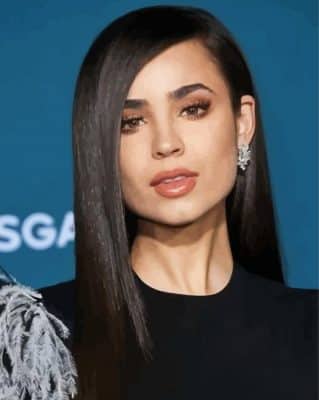 Sofia Carson American Actress Paint By Numbers