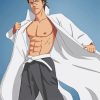 Sosuke Aizen Bleach Manga Anime paint by numbers