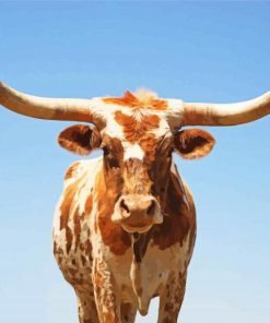 Texas Cattle Paint By Numbers