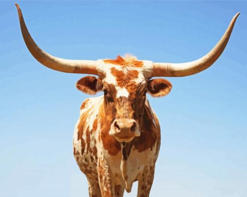 Texas Cattle Paint By Numbers