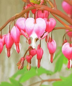 The Asian Bleeding Heart Paint By Numbers
