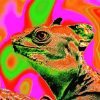 Trippy Abstract Lizard Paint By Numbers