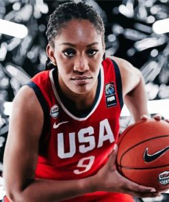 United States Women's National Basketball Player Paint By Numbers