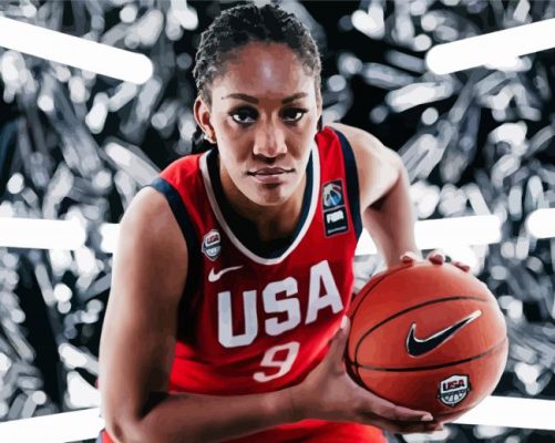 United States Women's National Basketball Player Paint By Numbers