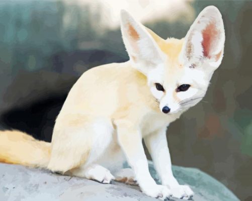 White Fennec Fox Paint By Numbers