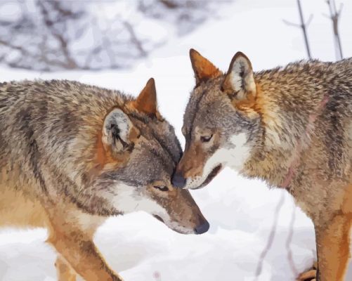 Wintry Wolves paint by numbers