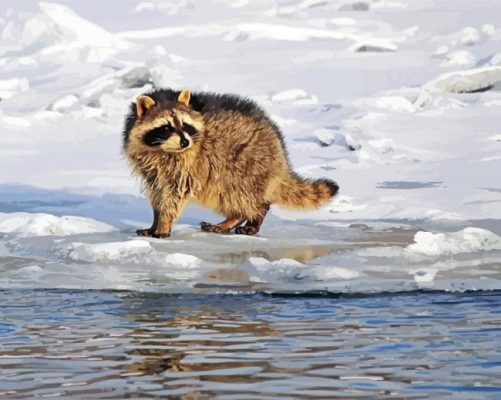 Adorable Raccoon Snow Paint By Numbers