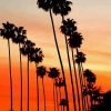 Aesthetic Palm Trees California Paint By Numbers
