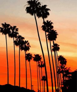 Aesthetic Palm Trees California Paint By Numbers
