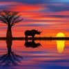 Aesthetic Rhino Sunset Paint By Numbers