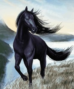 Black Mare Horse paint by numbers