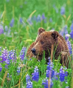Brown Bear In Flowers Paint By Numbers